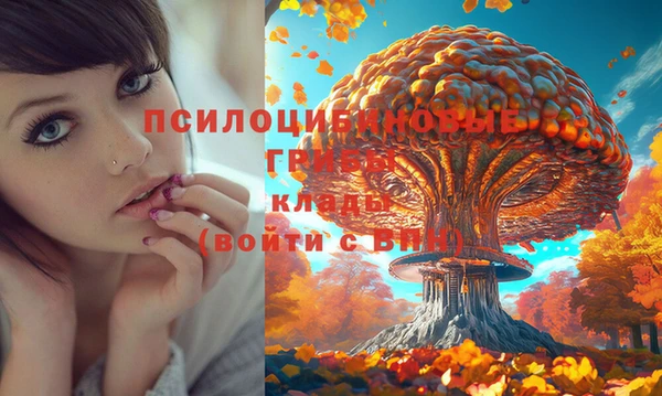 не бодяженный Переславль-Залесский