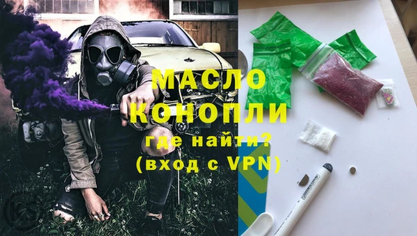 дмт Пересвет