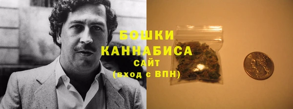 дмт Пересвет