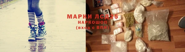дмт Пересвет