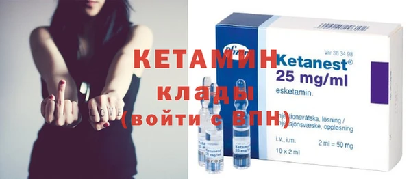 дмт Пересвет