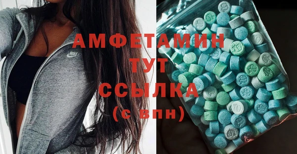 дмт Пересвет