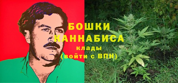 дмт Пересвет