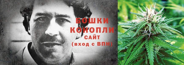 дмт Пересвет