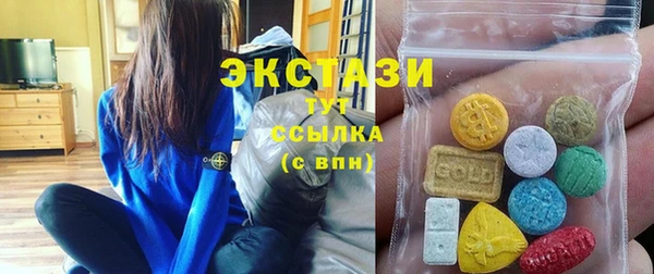 дмт Пересвет