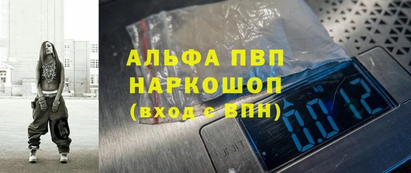 дмт Пересвет