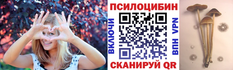 Псилоцибиновые грибы Magic Shrooms  Тавда 